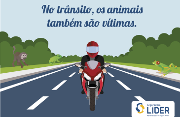 quinze-animais-morrem-por-segundo-atropelados-em-estradas-brasileiras